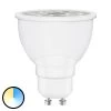 LEDVANCE SMART+ ZigBee GU10 4,9W RGB 2000-6500K -Viftebelysning Discountbutik ledvance smart zigbee gu10 4 9w rgb 2000 6500k