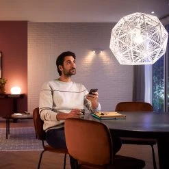 Philips Hue White Ambiance E27 LED-pære 8 W 1100lm -Viftebelysning Discountbutik philips hue white ambiance e27 led paere 8 w 1100lm 1
